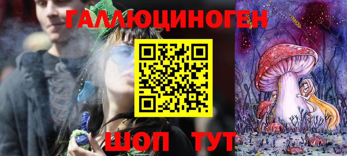 Псков  Галлюциногенные грибы прущие грибы  Вход с VPN 